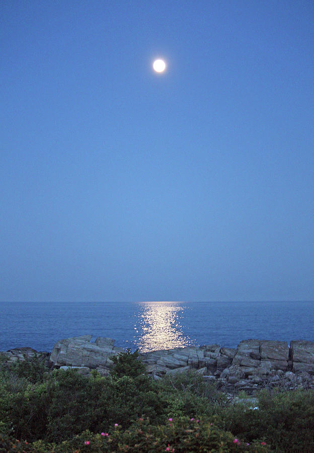 Moon Over Maine Coast Photograph By Brian C Kane - Fine Art America