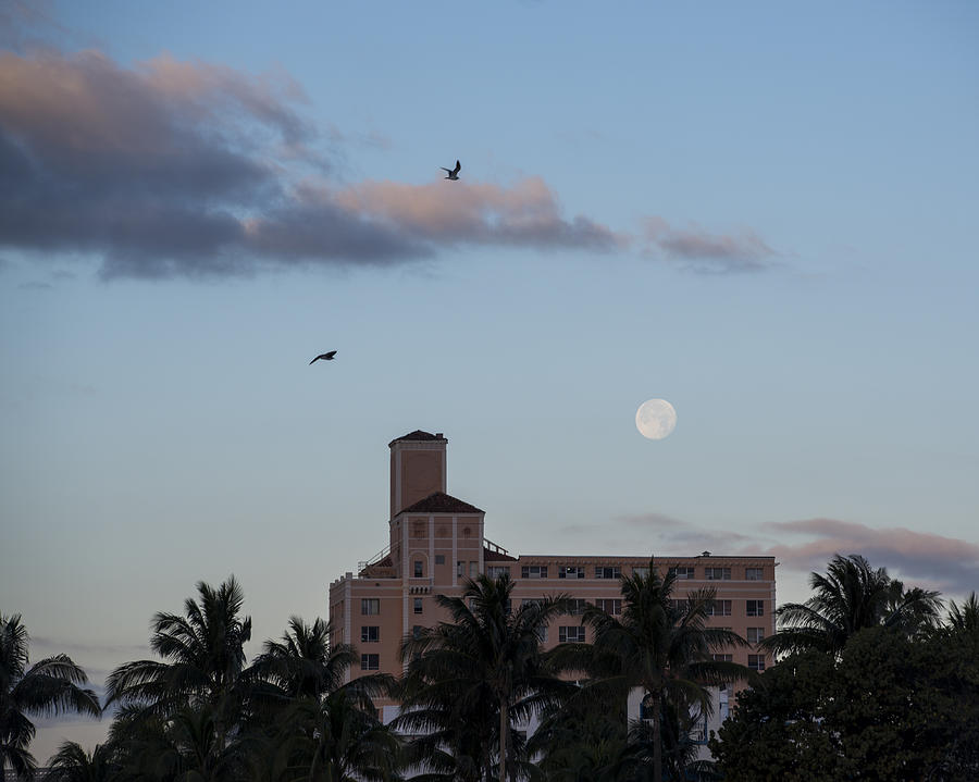 Moon Over Miami Beach Photograph by Toby McGuire