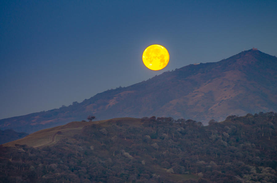 Moon Over Mt Diablo Photograph by Marc Crumpler