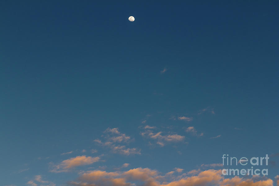 Moon Over Pink Clouds Photograph by Les Palenik