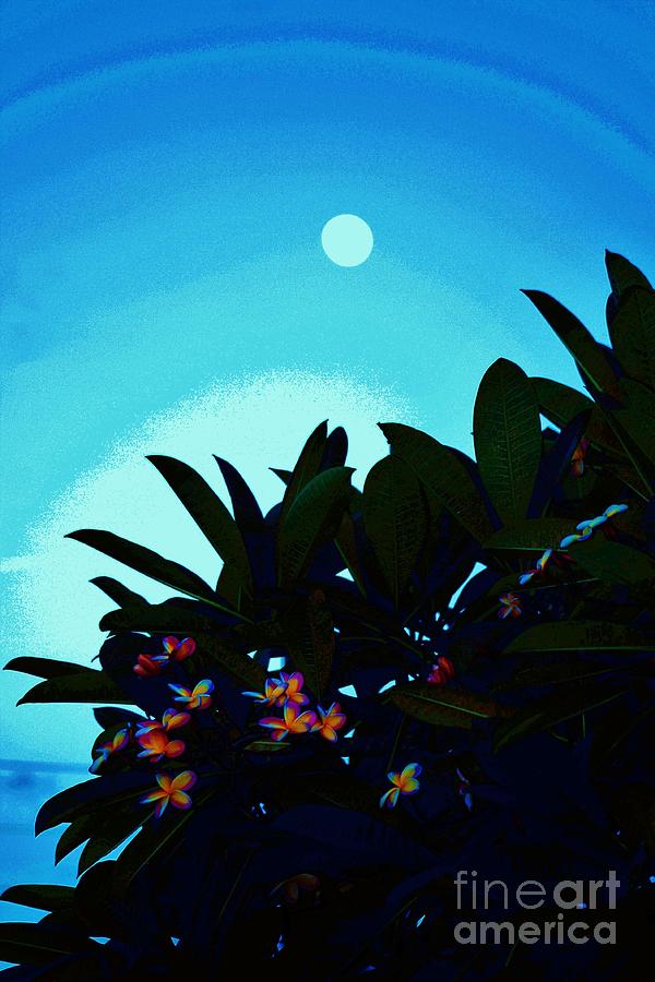 Moon Over Plumeria One Photograph by Craig Wood