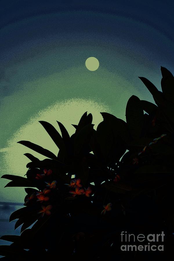 Moon Over Plumeria Three Photograph by Craig Wood