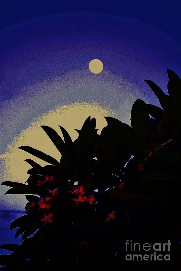 Moon Over Plumeria Two Photograph by Craig Wood