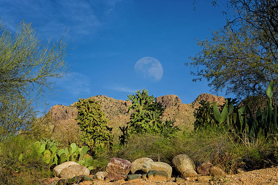 Moon Over Pusch Ridge h30 Photograph by Mark Myhaver