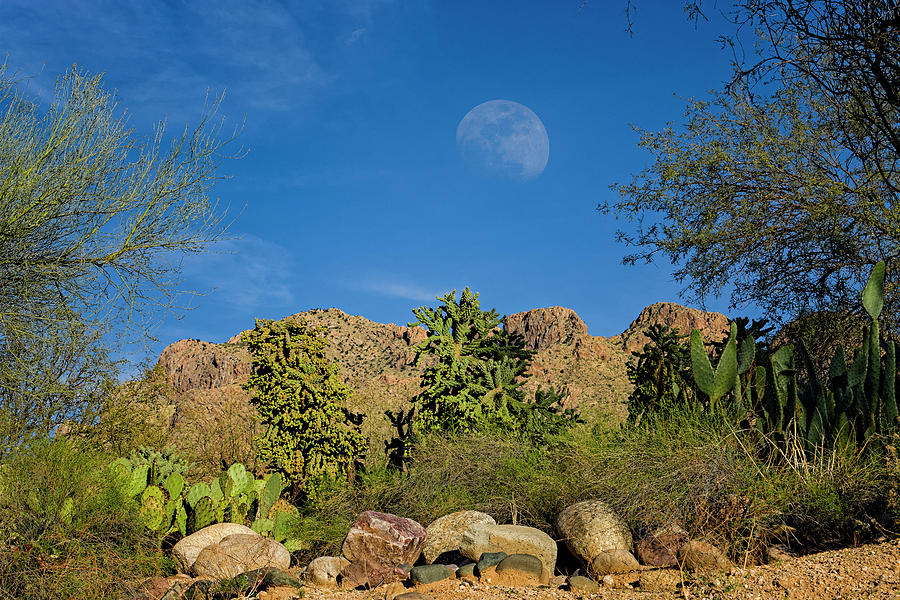 Moon Over Pusch Ridge h32 Photograph by Mark Myhaver