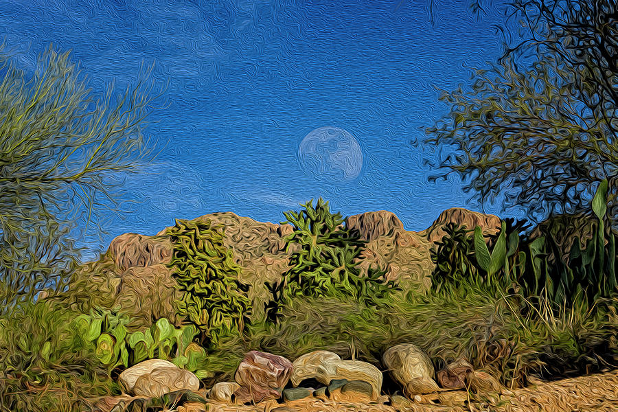 Moon Over Pusch Ridge op31 Photograph by Mark Myhaver