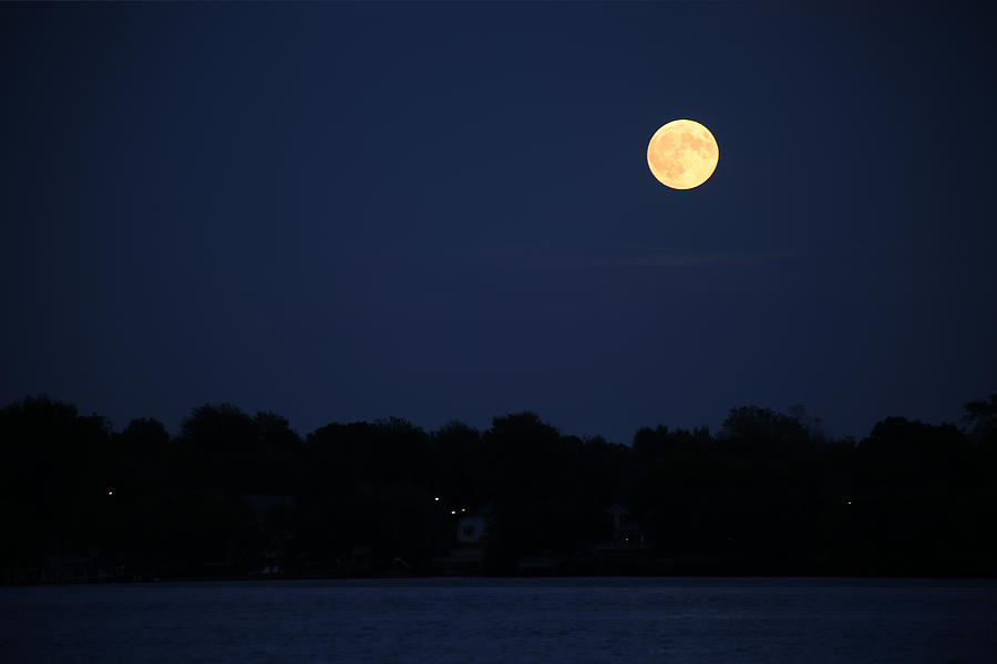 Moon Over Saint Clair River Photograph by Mary Bedy