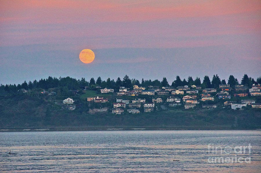 Moon Over Steilacoom Photograph by Sean Griffin