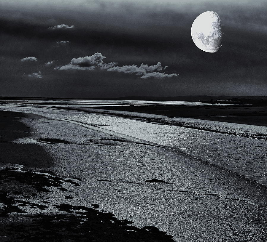 Bird Digital Art - Moon over the Estuary Monochrome by Jeff Townsend