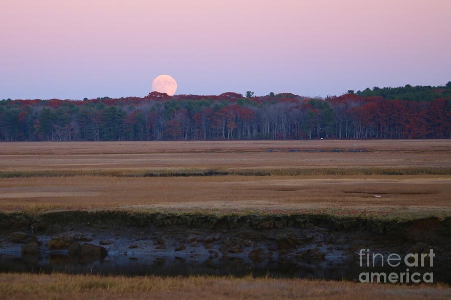 Moon over the Marsh Photograph by Colleen Mars - Fine Art America