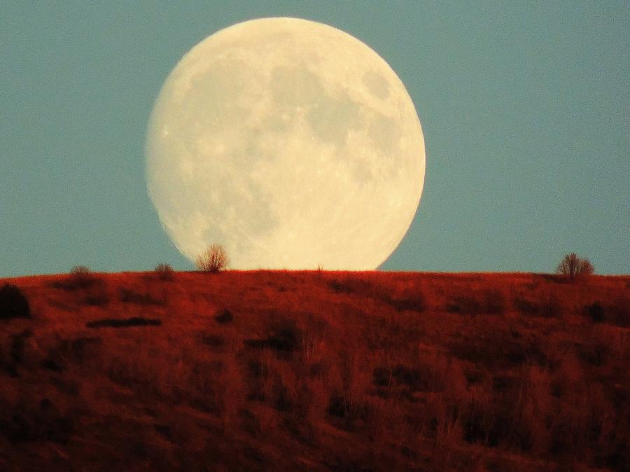 Moon Over Utah Photograph by Charlotte Schafer