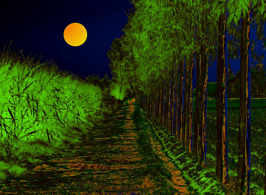 Tree Digital Art - Moon Path by Bliss Of Art