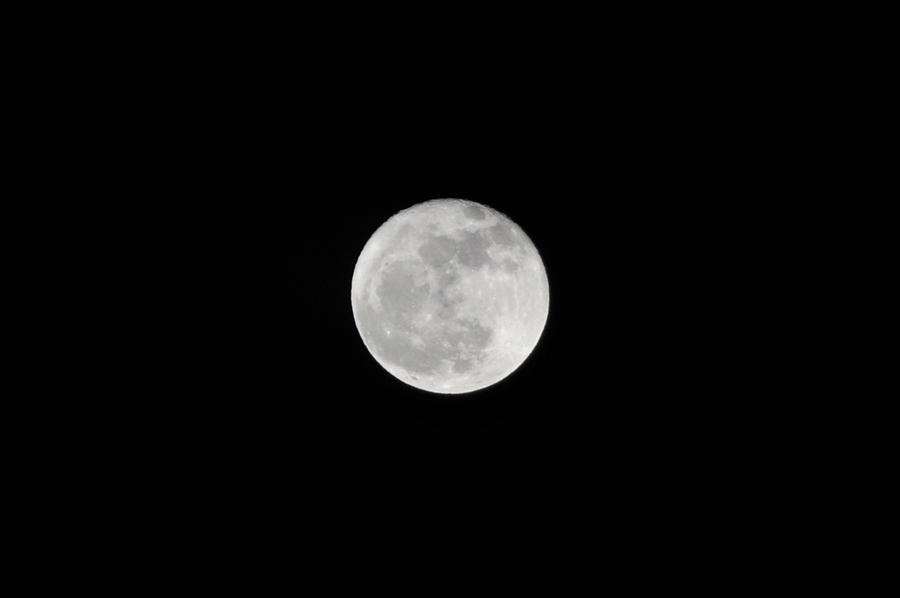 Nature Photograph - Moon by Pelo Blanco Photo