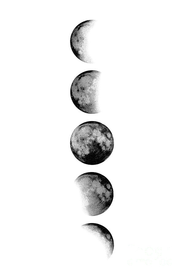 Moon Phases Black & White Print - Wall Art Printable Prints