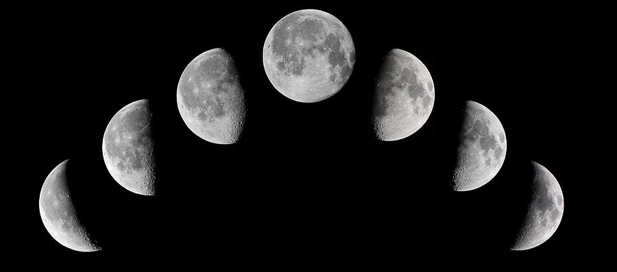 Moon Phases Photograph by Shoeless Wonder