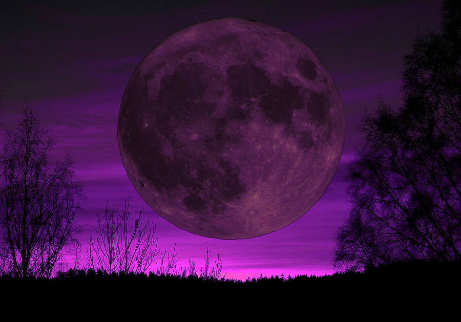 Moon Purple is a photograph by Tony Svensson which was uploaded on January ...