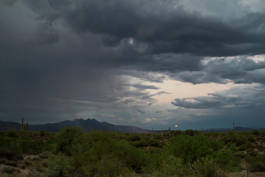 Moon Rain Photograph by Cathy Franklin | Pixels