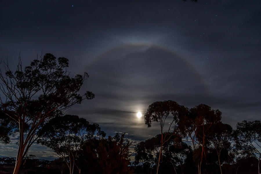 Moon Ring Photograph by Robert Caddy