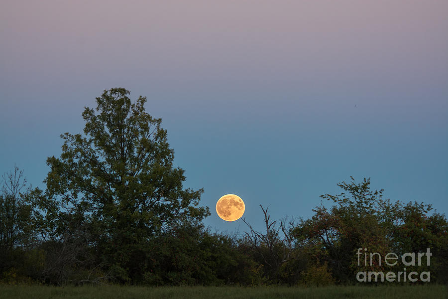 Moon Rise Landscape Photograph by Cheryl Baxter