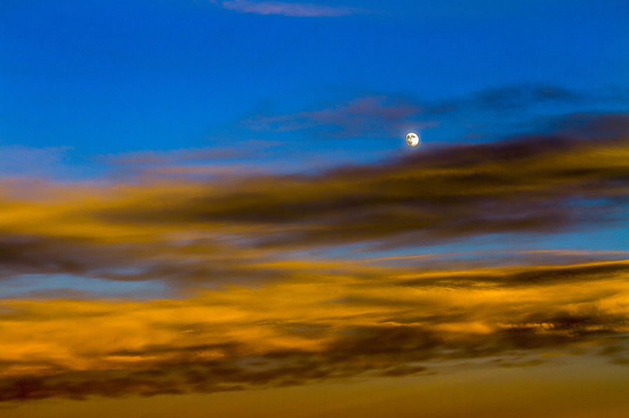Moon Rise Over Montezuma Photograph by Bruce Bottomley