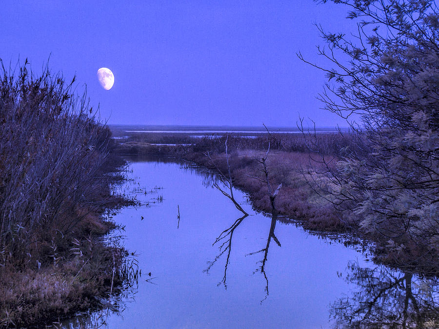 Moon Rise over Slough Photograph by Bruce Bottomley