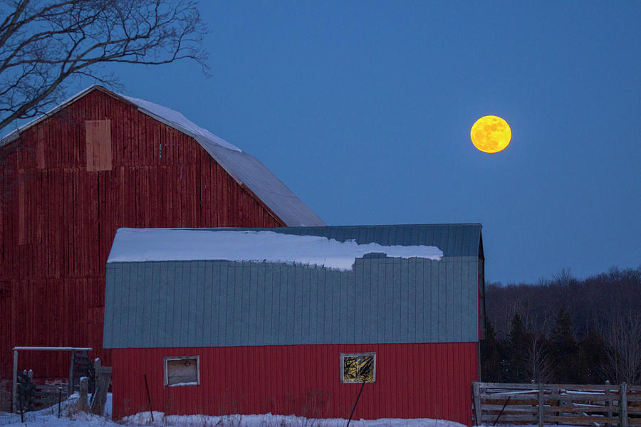 Moon Rise Photograph by Spencer Bush