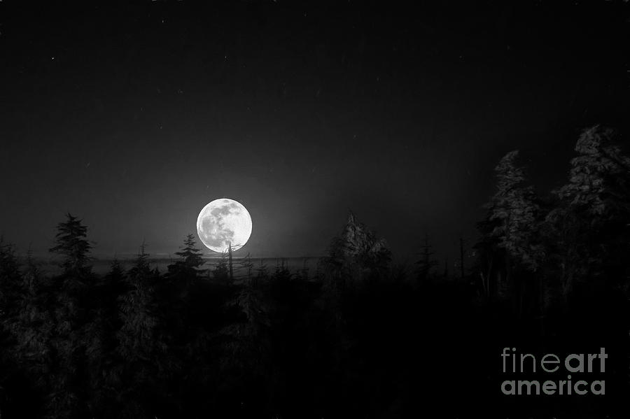 Moon rising Photograph by Dan Friend
