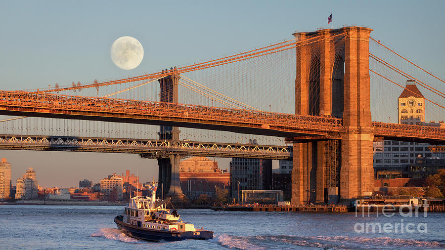 Moon Rising over the East River Photograph by Jerry Fornarotto