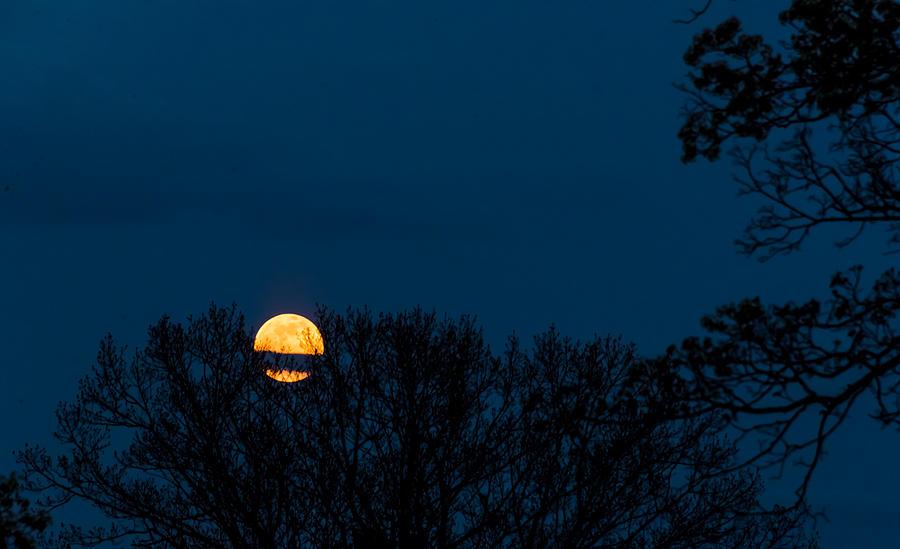 Moon Rising Photograph by Robert McKay Jones