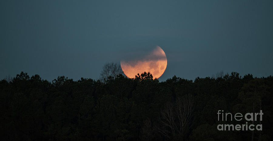 Moon Scape Photograph