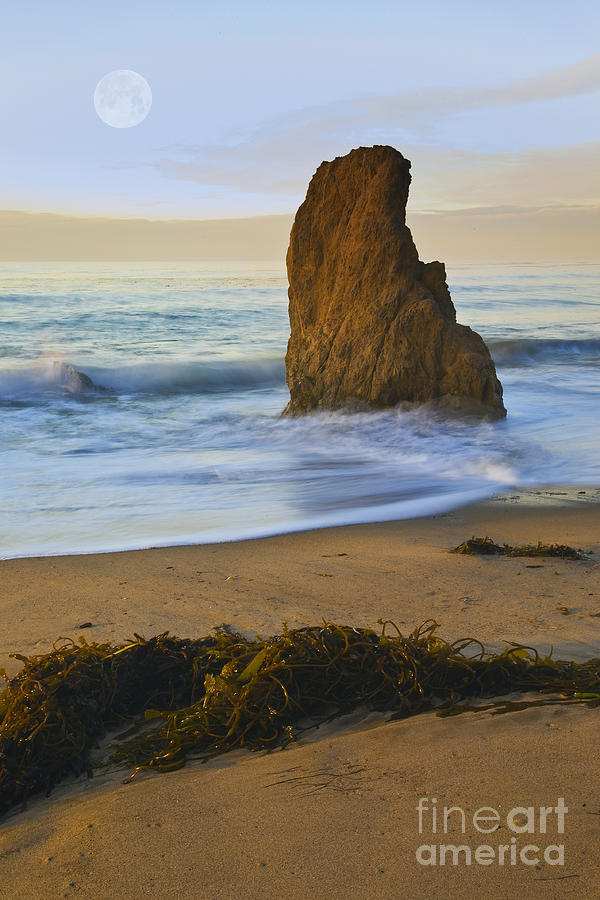Beaches Photograph - Moon Set by Greg Clure Beaches Photograph - Moon Set by Greg Clure