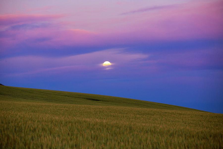 Moon setting Photograph by Lynn Hopwood