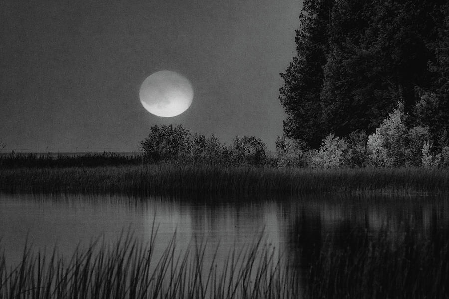 Moon Shadow  Photograph by David Heilman