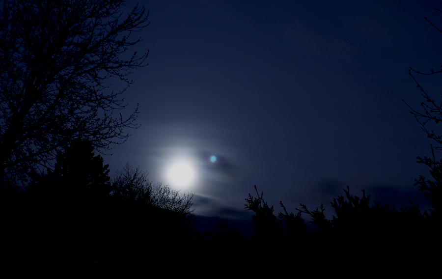 Moon Shadow Photograph by John Turner | Pixels