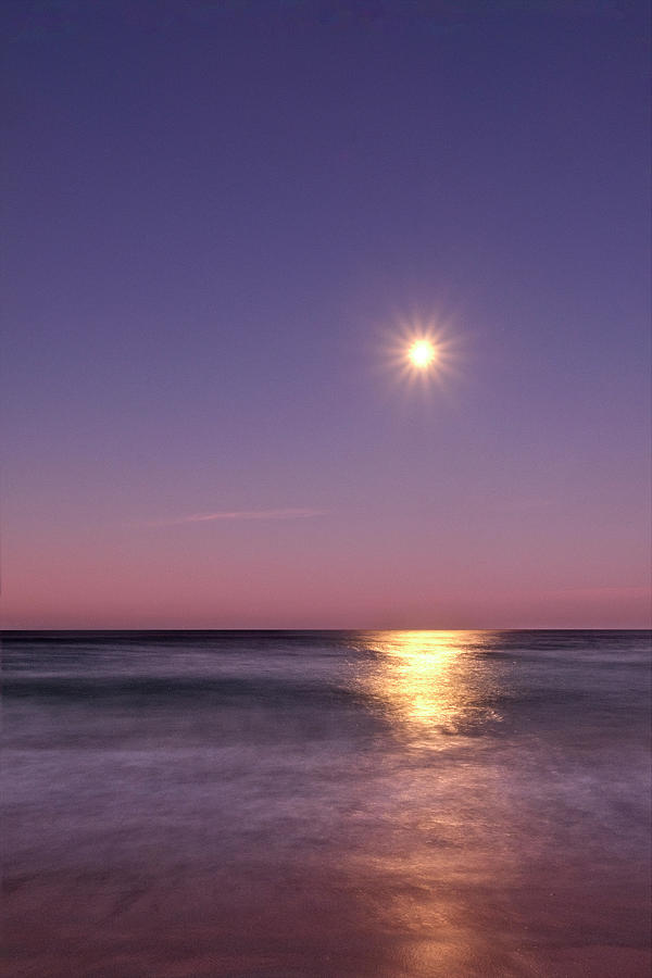 Moon Shine Photograph by Catherine Reading