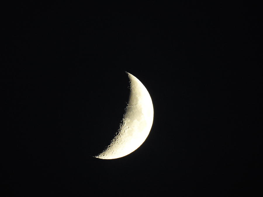 Moon Shine Photograph by Jan Gelders