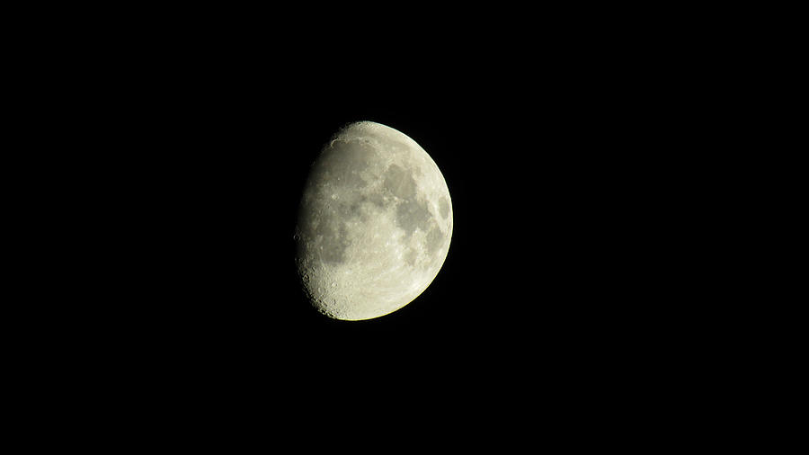 Moon Shot Photograph by Robert Knight