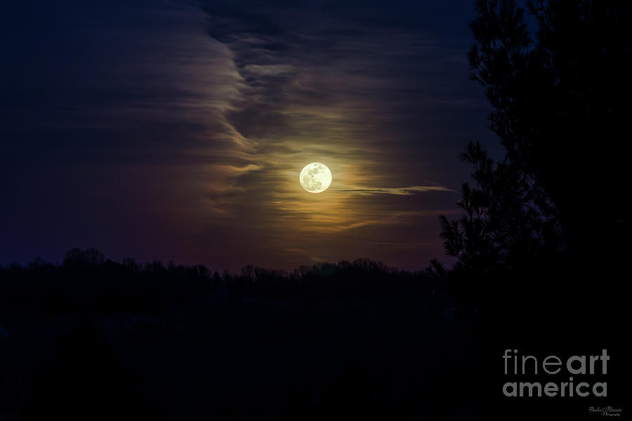 Moon Silhouette Photograph by Jennifer White