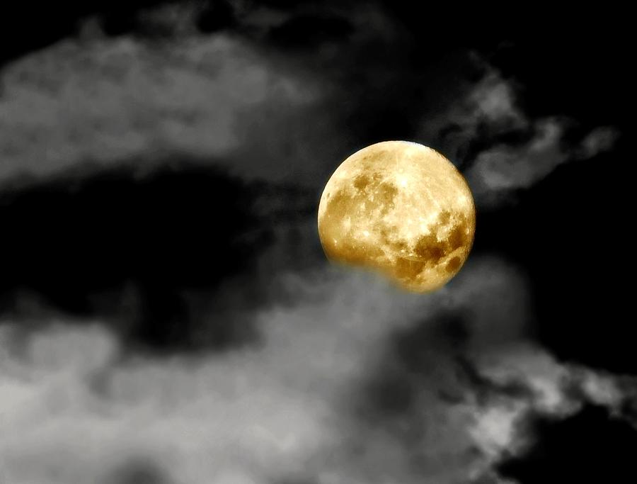 Moon Sky Photograph by Diana Angstadt - Fine Art America