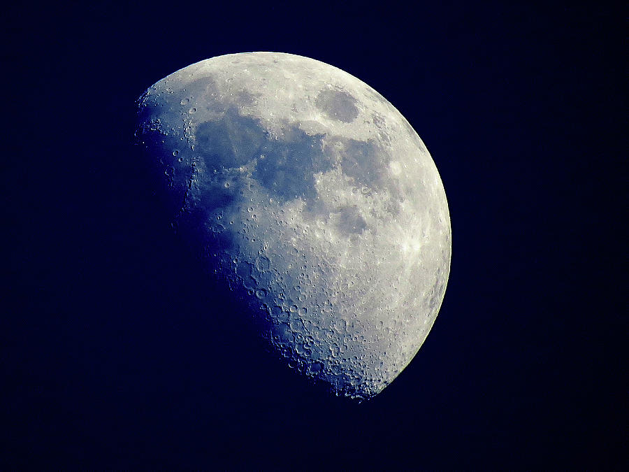 Moon Struck Photograph by Linda Stern