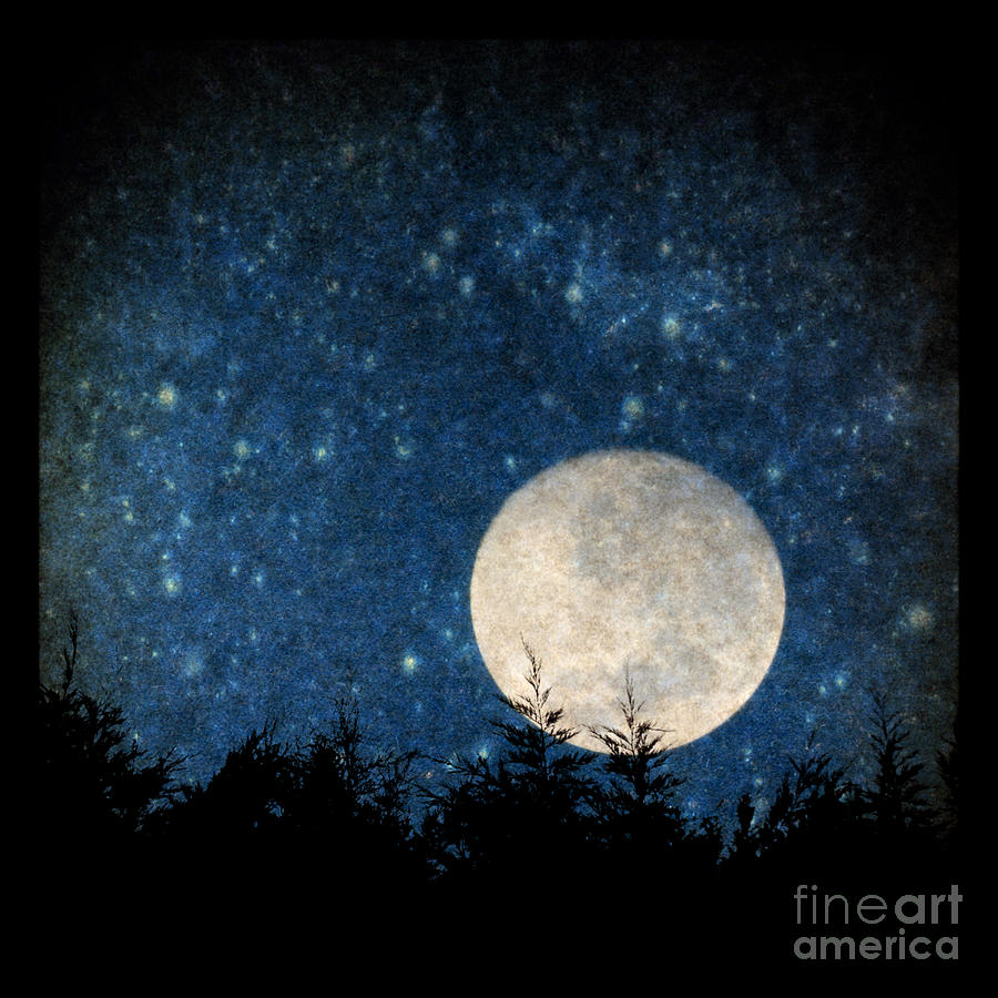 Moon, tree and stars Photograph by Clayton Bastiani