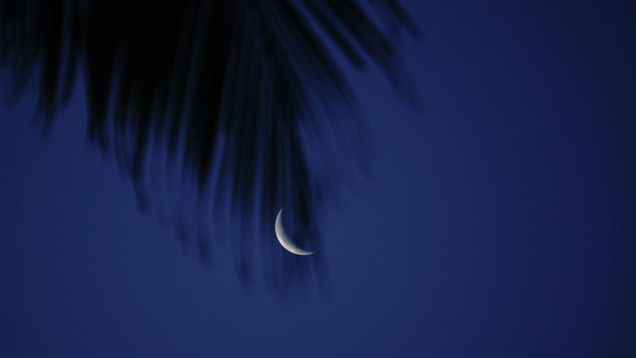 Moon Veil Delray Beach Florida Photograph by Lawrence S Richardson Jr