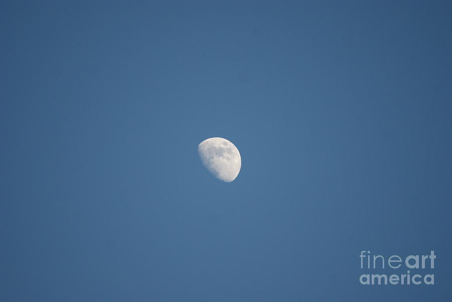 Summer Photograph - Moon watching over us during the day......   # by Rob Luzier