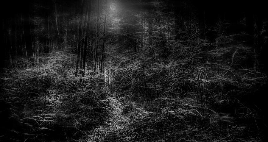Moon Woods Photograph by Bill Posner