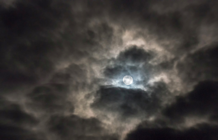 Moonglow Photograph by Loree Johnson