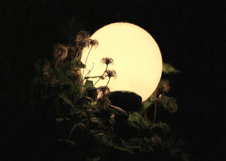 Moonglow Thistles Digital Art by Charmaine Zoe