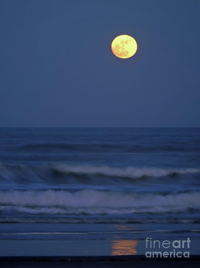 Moonlight At The Beach Photograph by D Hackett
