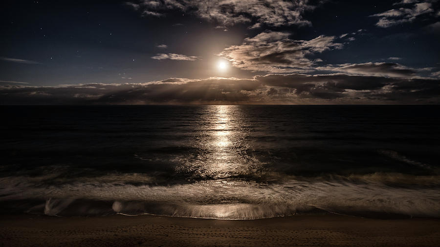 Moonlight - Florida, United States - Travel photography Photograph by Giuseppe Milo
