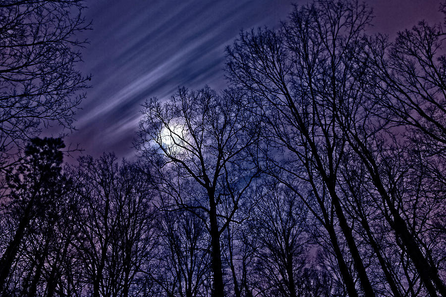 Moonlight Glow Photograph by Rod Kaye