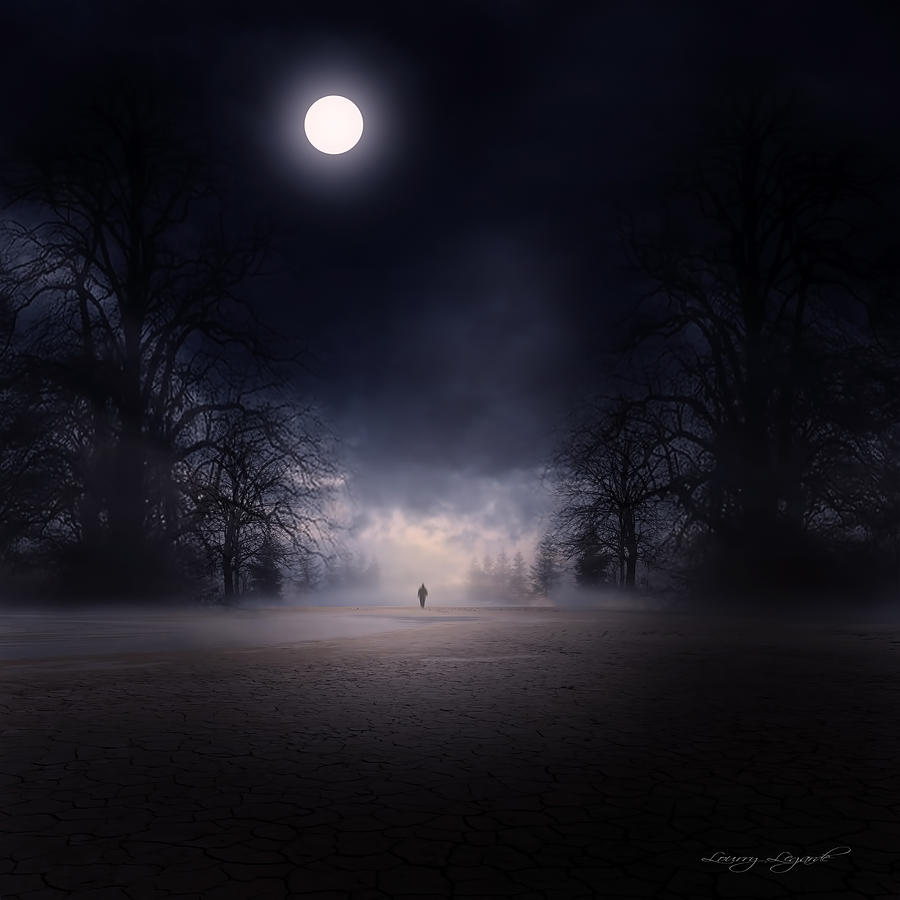 Moonlight Journey Photograph by Lourry Legarde